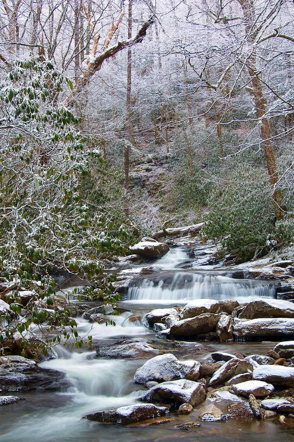 Villa New! Haven Peaceful Retreatgorgeous Viewspool! Sevierville Exterior foto